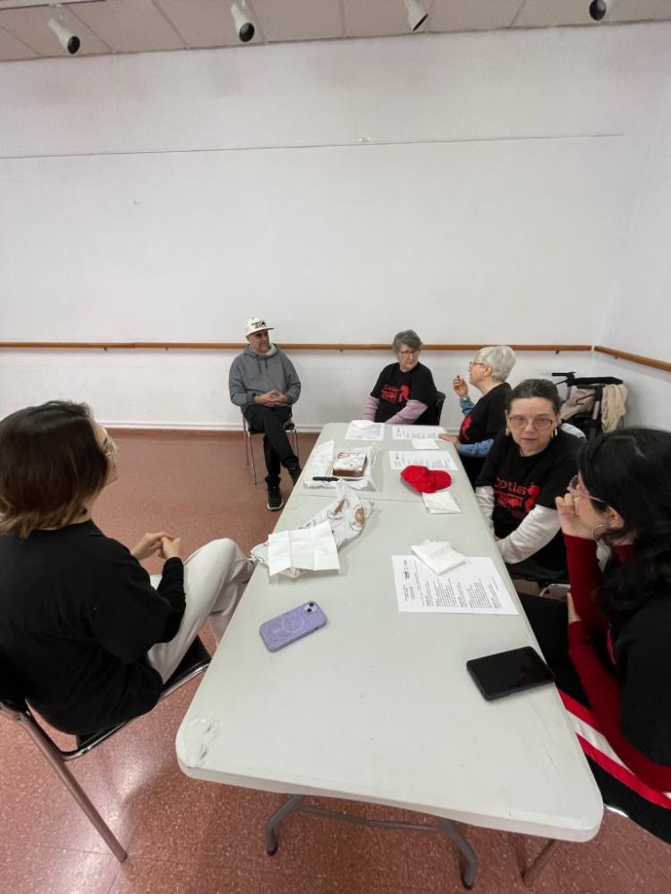 Mesa de trabajo durante el proyecto para combatir la soledad no deseada con Cotlas.